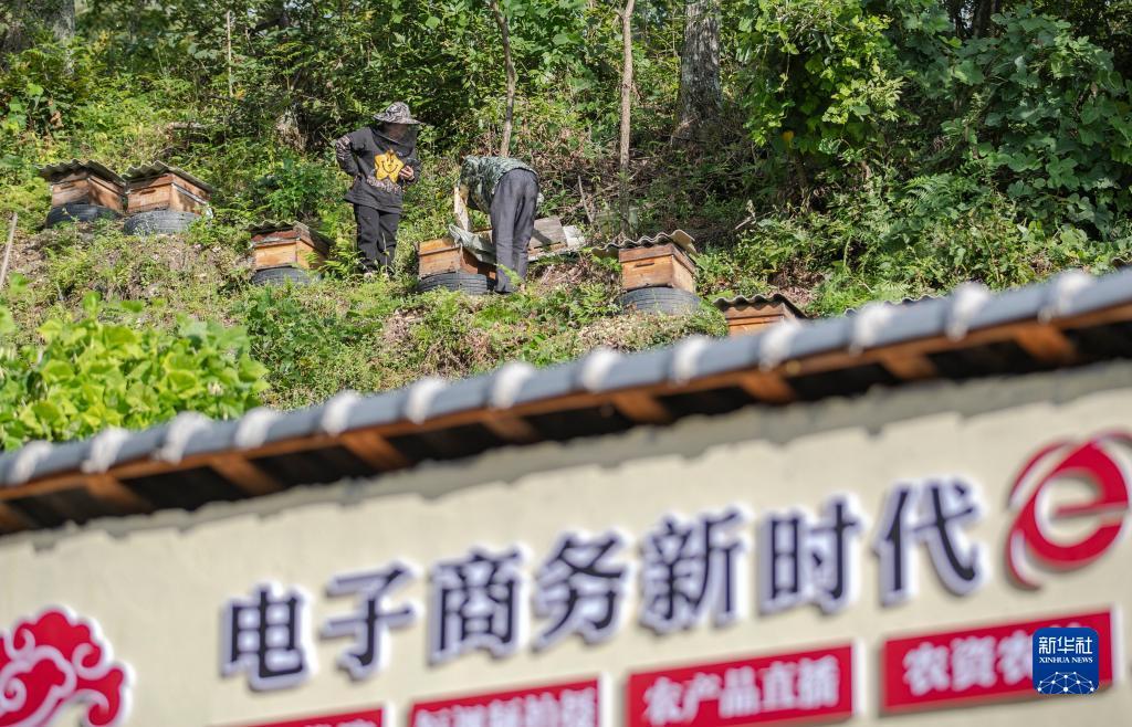 美国试玩平台